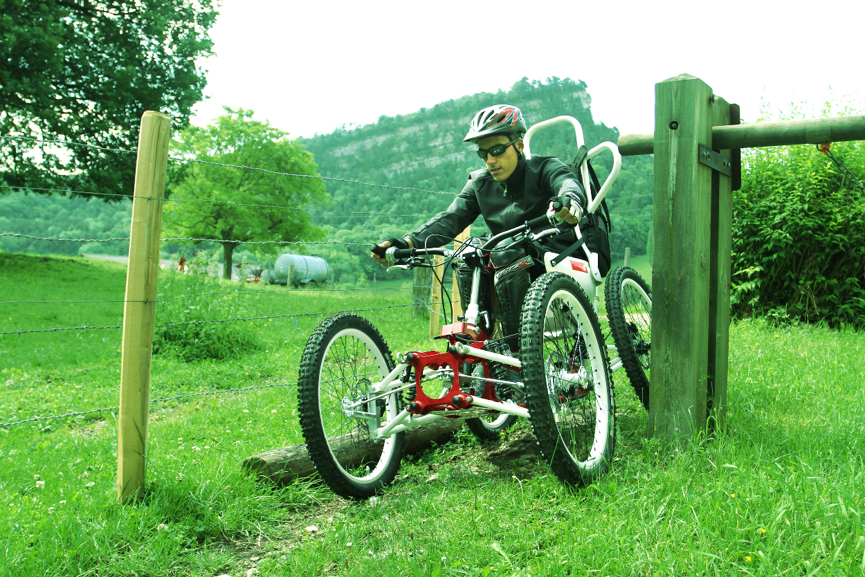 Les activités sportives du comité